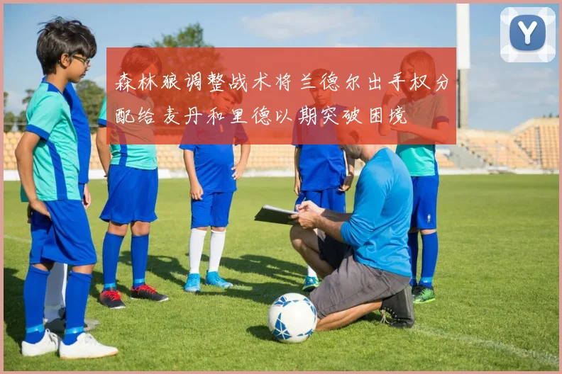 森林狼调整战术将兰德尔出手权分配给麦丹和里德以期突破困境